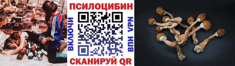 Псилоцибиновые грибы MAGIC MUSHROOMS  Красноперекопск 