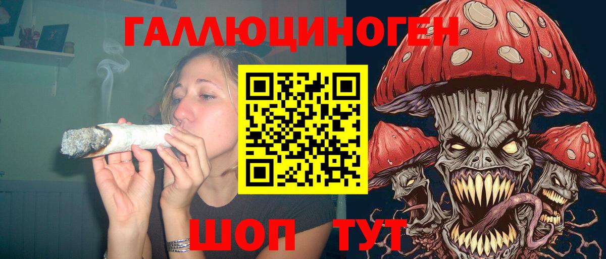 Галлюциногенные грибы Psilocybe  Вход с VPN  Псилоцибиновые грибы мухоморы  Красноперекопск 